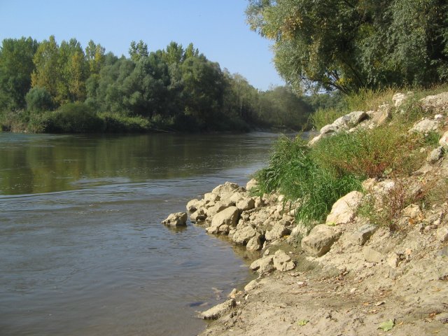 finnek 2011 010